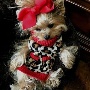 Meet your Posher, Lynn